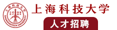 大黑屌插阴道视频